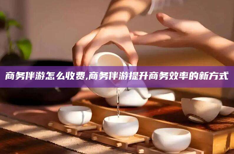 哈密商务伴游怎么收费,商务伴游提升商务效率的新方式